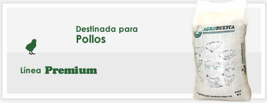 Pollos - Alimentos balanceados para Cria de Pollos - Pollitos
