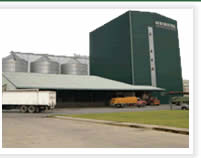 Vista de la Moderna Planta con Tecnologia de punta en fabricacion de alimento balanceado para animales. Agrobueyca