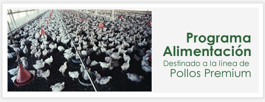 Programa de Alimentacion para Pollos Premium
