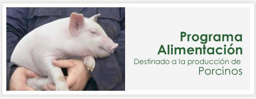 Programa de Alimentacion Porcinos Cerdos